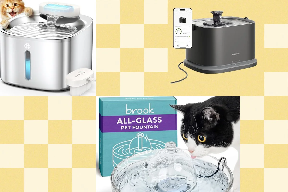Top Cat Water Fountains of 2026: Features from Petlibro, Petkit, Oneisall