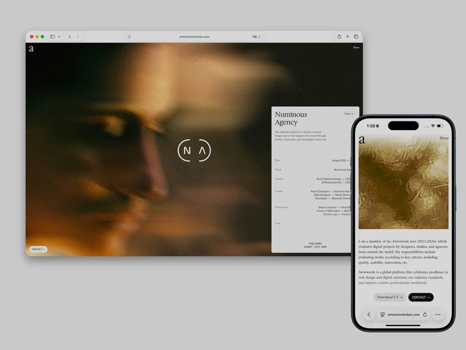 Transforming Portfolio Design: A Two-Year Evolution Beyond Traditional Galleries