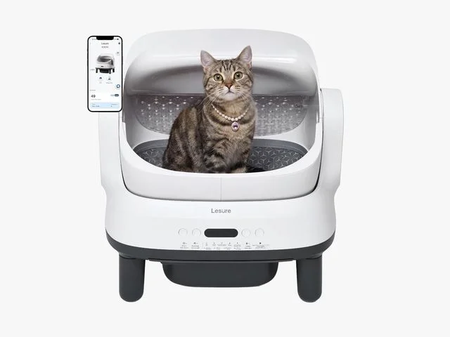 Image may contain Animal Cat Mammal Pet Device Appliance Electrical Device Electronics Mobile Phone and Phone