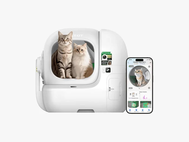 Image may contain Appliance Device Electrical Device Washer Computer Hardware Electronics Hardware Animal and Cat