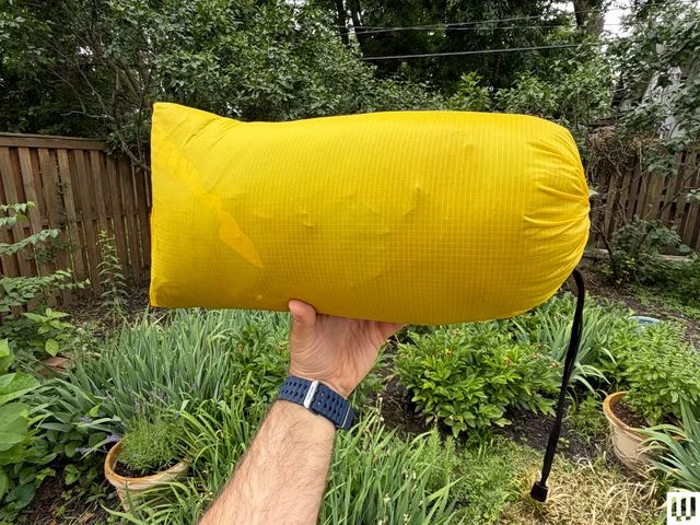 Image may contain: Cushion, Home Decor, Pillow, Plant, and Vegetation
