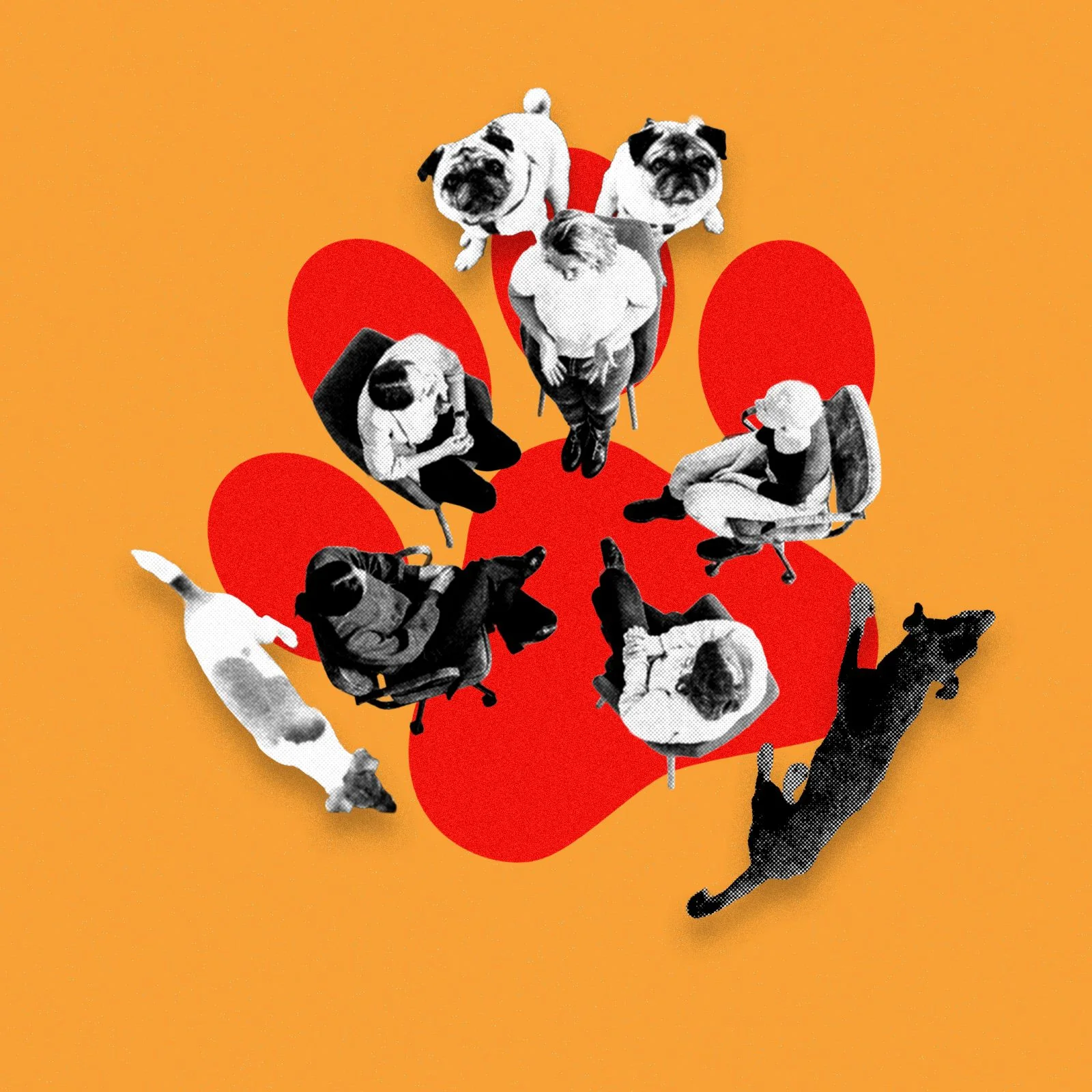 A photo illustration depicting a support group surrounded by dogs.