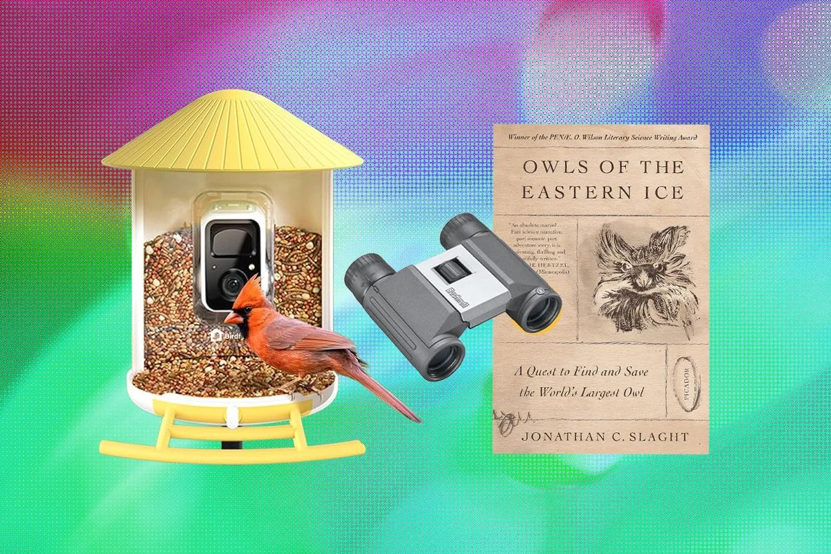 Image may contain Animal Bird Gun and Weapon