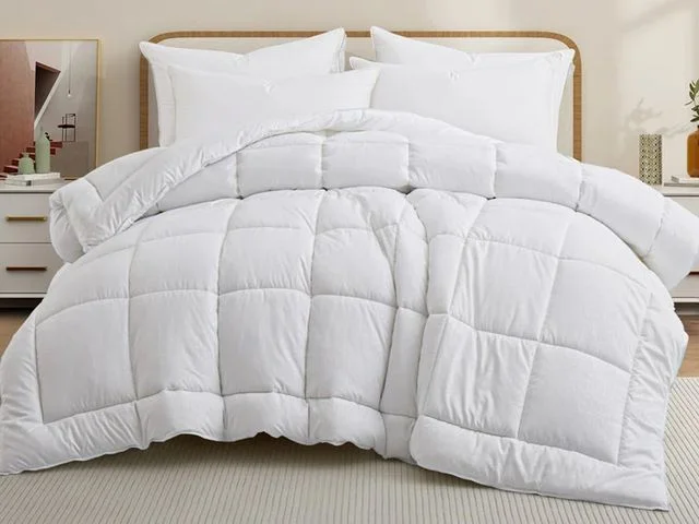 Wayfair Sleep All Season Down Alternative Comforter, a white blanket, draped on a bed with a beige minimalist headboard