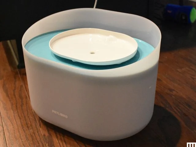 White oval-shaped pet fountain with small tray on top to catch the cascading water