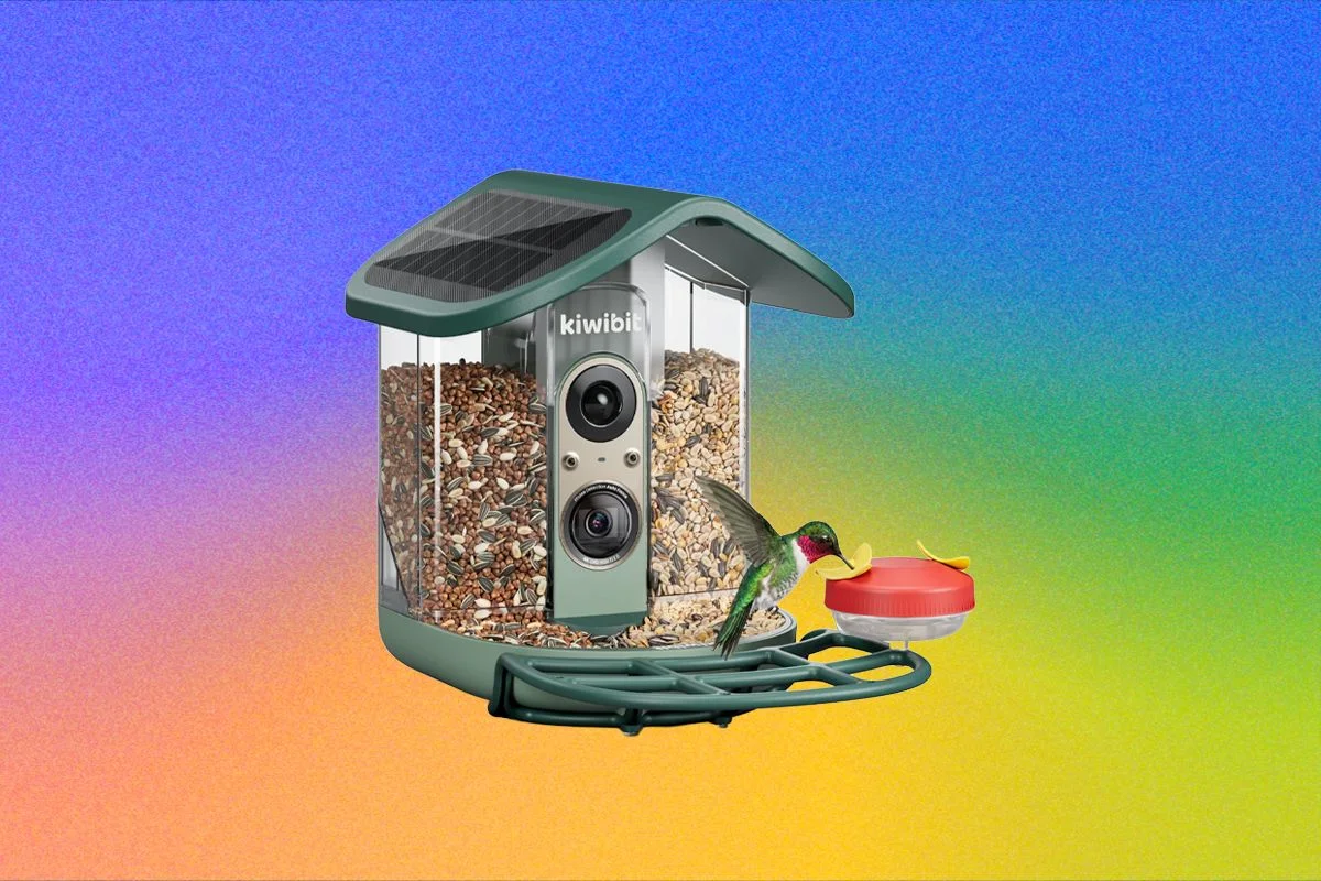 Image may contain Bird Feeder Animal and Bird