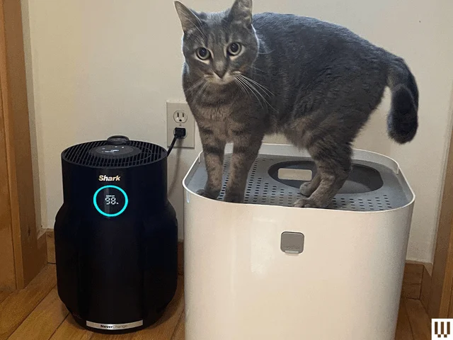 Small black air purifier beside another white device with a cat standing on top