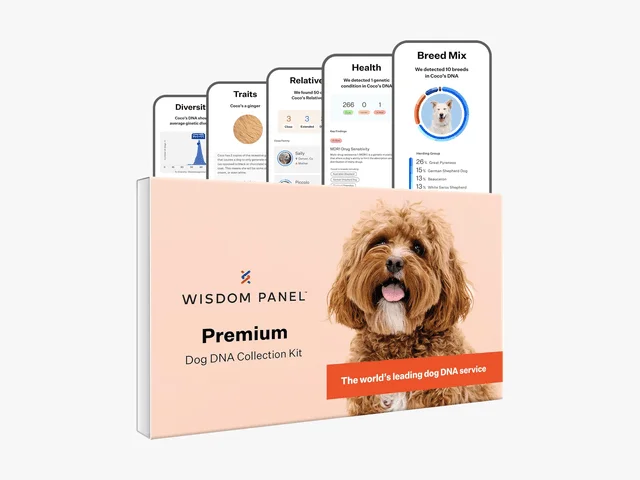 Image may contain: Text, Animal, Canine, Dog, Mammal, Pet, Page, Business Card, and Paper