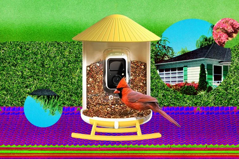 Image may contain: Animal, Bird, and Best Smart Bird Feeder