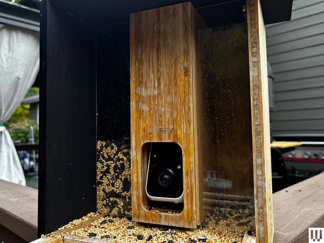 Image may contain: Indoors, Interior Design, Wood, Hardwood, and Stained Wood