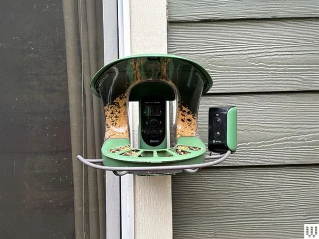 Birdfy Feeder 2 Duo, a curved bird feeder with a camera inside the inner slot that has a clear container with seeds inside on top and green platform for birds to stand on the bottom