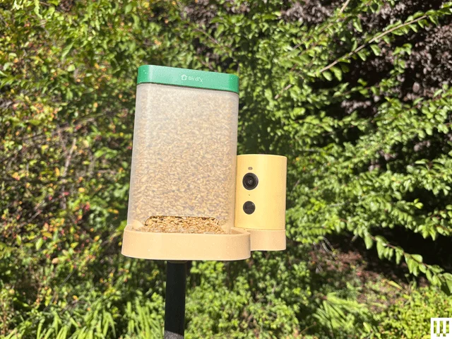 Image may contain: Bird Feeder