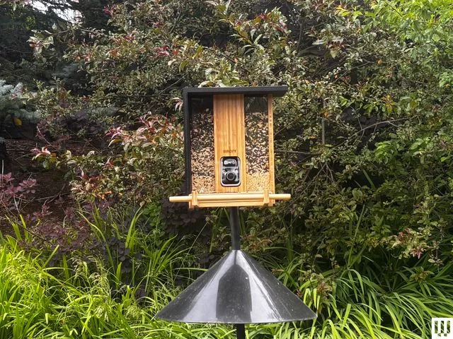 Image may contain: Bird Feeder, and Mailbox