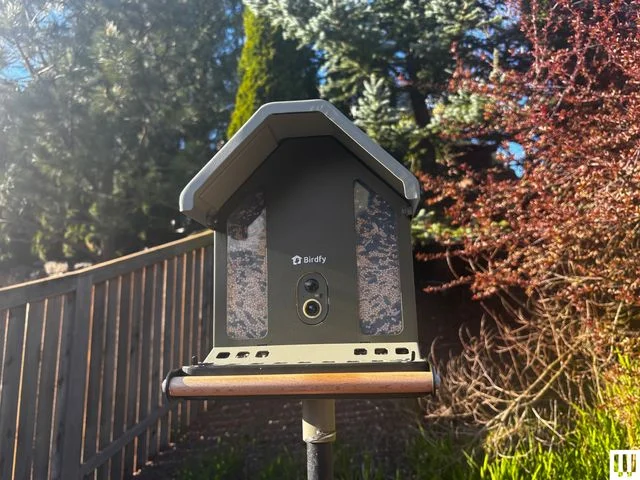 Image may contain: Bird Feeder, and Mailbox
